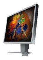 Eizo FlexScan 21.3 inch LCD (S2100)